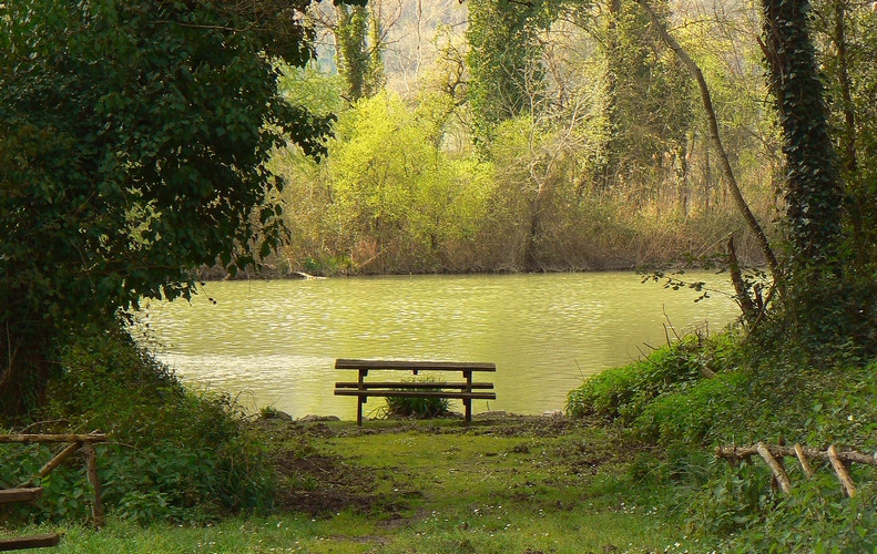 relax along the big river