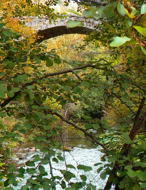 the roman bridge down in the Farfa River