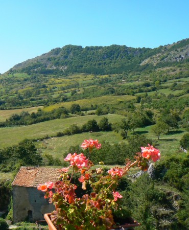 A balcony on the basin