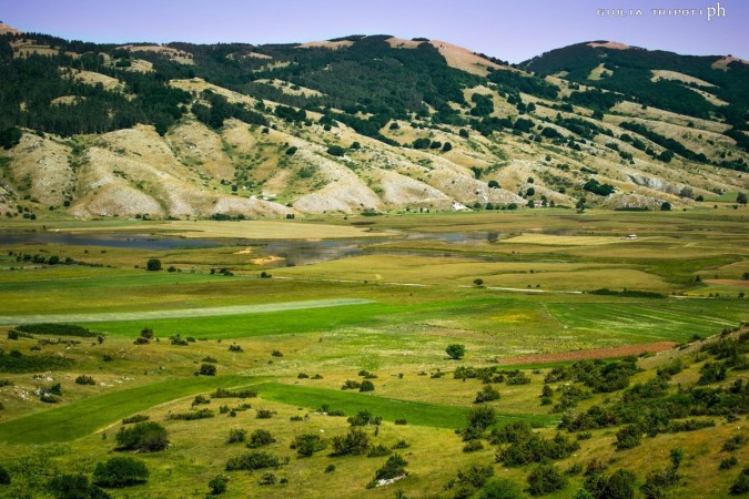 lentils crops on the plateau
