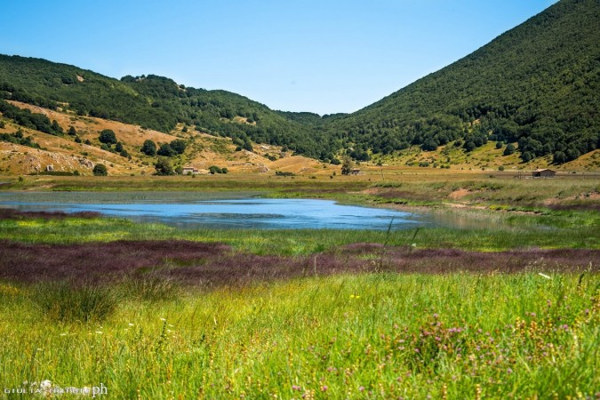 rascino's lake and colours