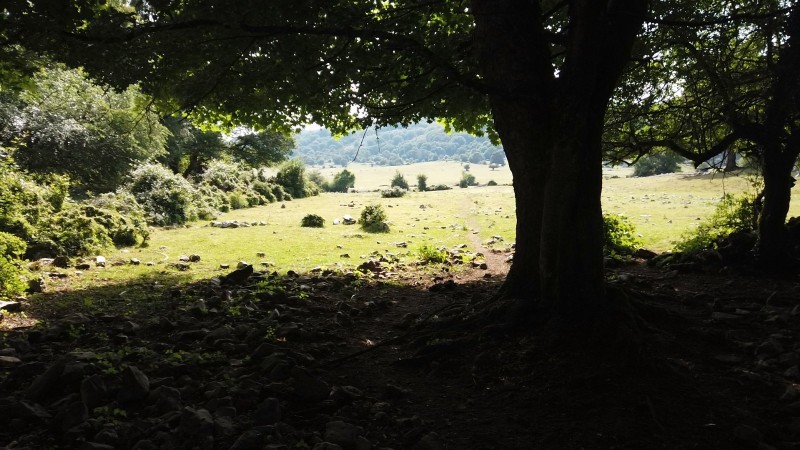 Karstic rielifs open up on the kastic plateus