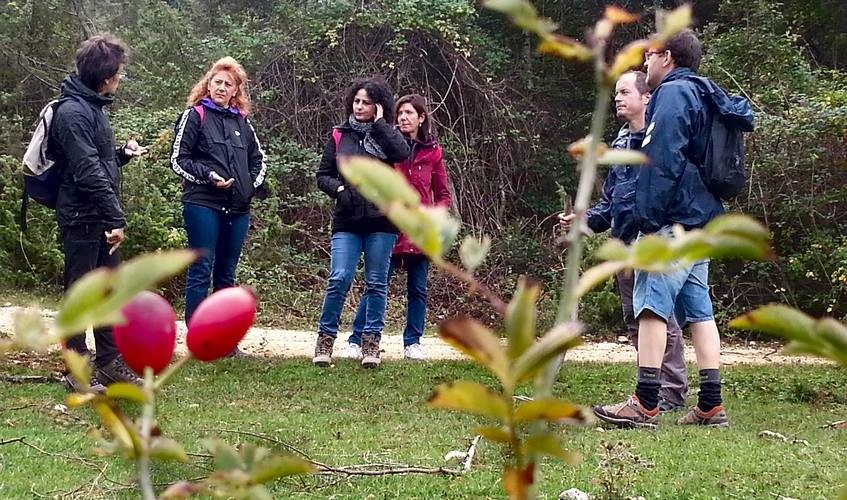 I pascoli sui pianori ad alta quota