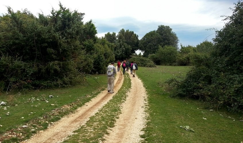 Tratturi e prati