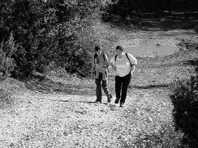 Passeggiando intorno ai prati 