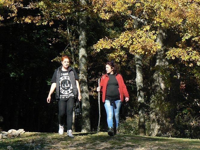 Al limitare tra prati e boschi
