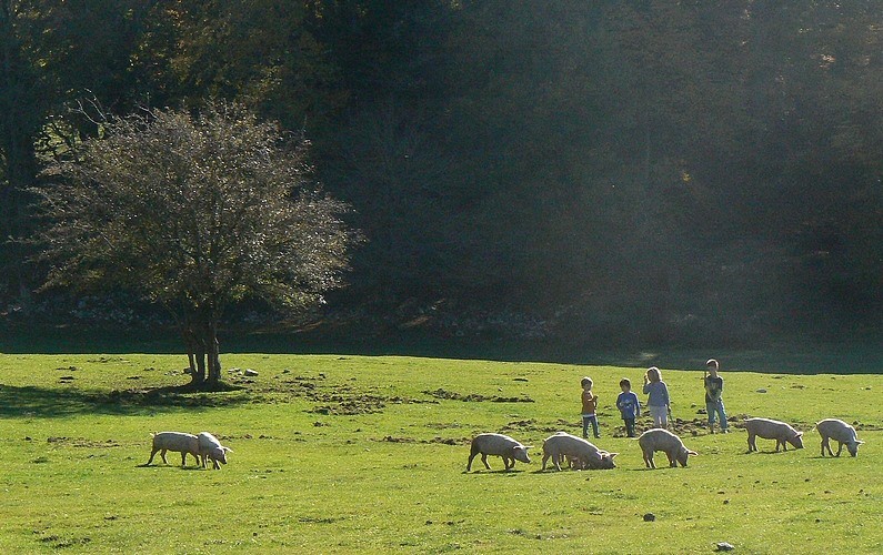 L'area attrezzata dei prati