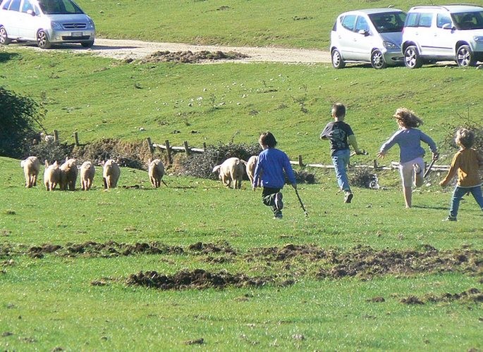 Area attrezzata dei prati