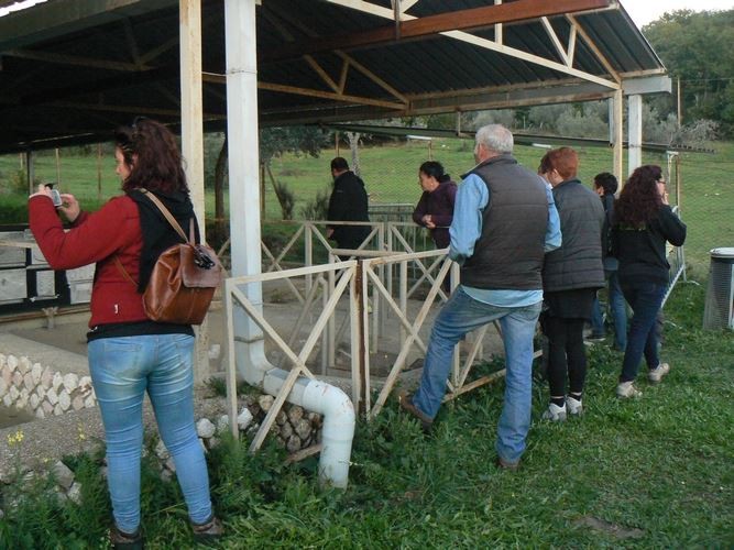 La Villa degli Aurelii Cotta