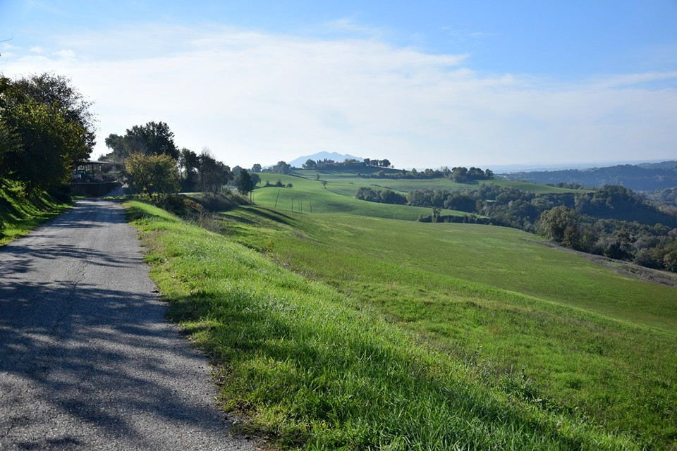 Panorama Magliano Sabina