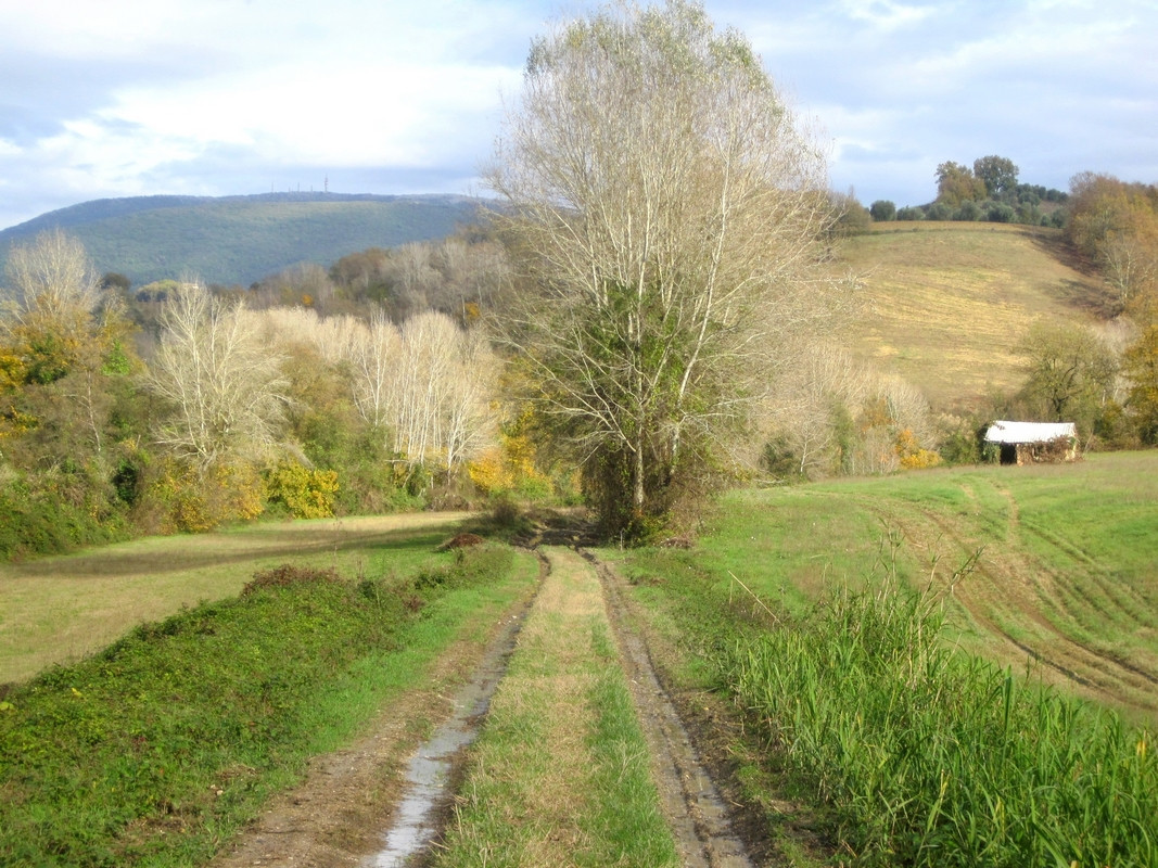 Valle del Campana 