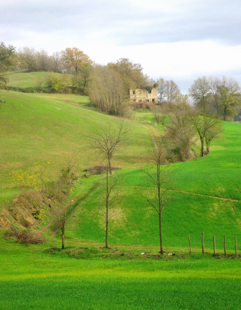 Il verde intenso della Sabina
