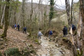 La valle boscosa del galantina