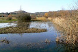 Piana allagata Lago Lungo