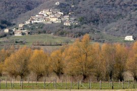 Apoleggia sovrasta sui filari di salici