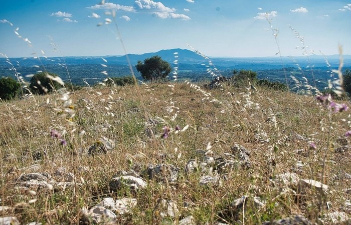 Dall'alto la vista sul Soratte